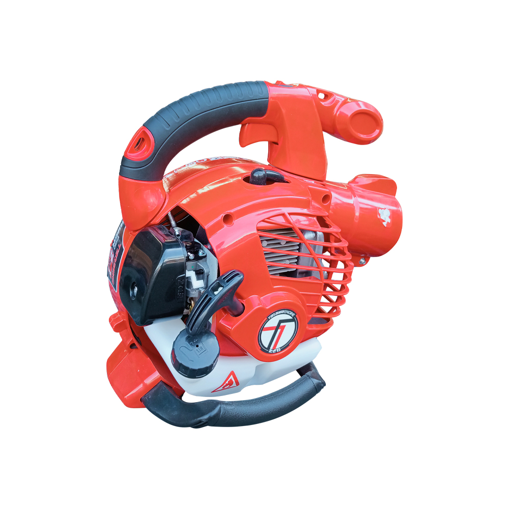 Blower 2IN 1-3-1000x1000